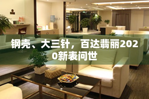 鋼殼、大三針，百達(dá)翡麗2020新表問世