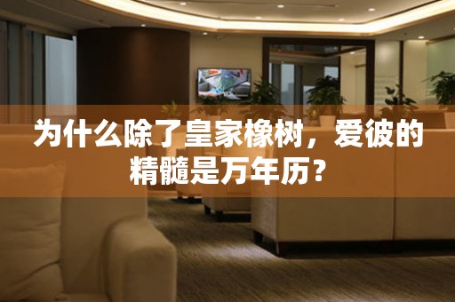 為什么除了皇家橡樹，愛彼的精髓是萬年歷？