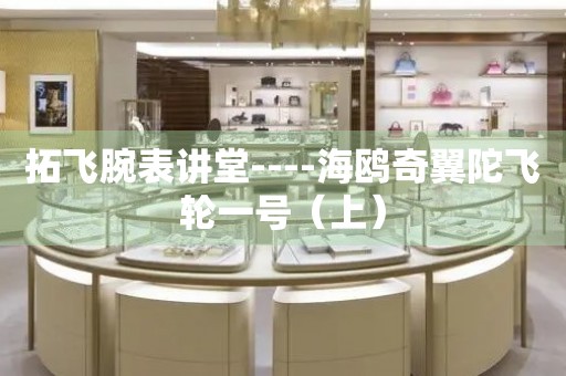 拓飛腕表講堂----海鷗奇翼陀飛輪一號（上）