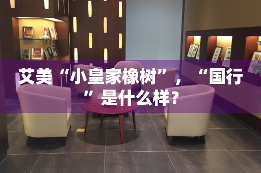 艾美“小皇家橡樹”，“國行”是什么樣？
