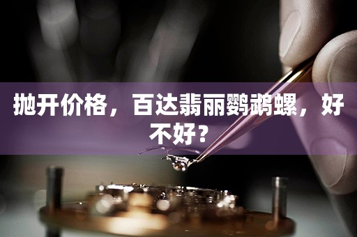 拋開價格，百達翡麗鸚鵡螺，好不好？
