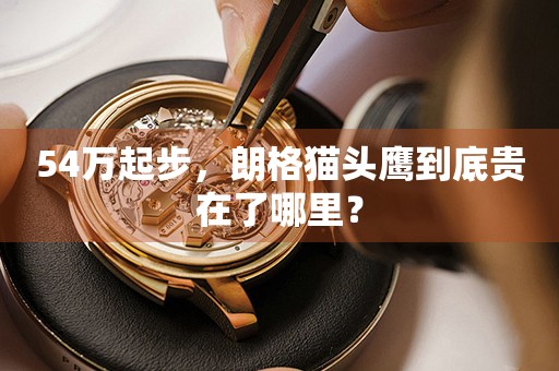 54萬起步，朗格貓頭鷹到底貴在了哪里？
