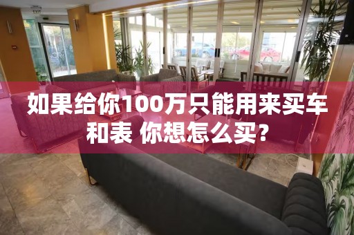 如果給你100萬只能用來買車和表 你想怎么買？