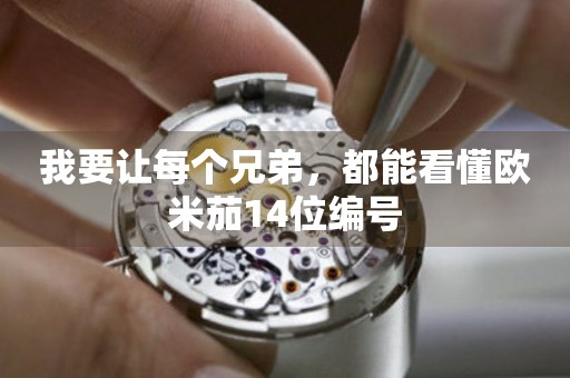 我要讓每個(gè)兄弟，都能看懂歐米茄14位編號(hào)