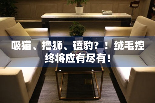 吸貓、擼獅、磕豹？！絨毛控終將應(yīng)有盡有！
