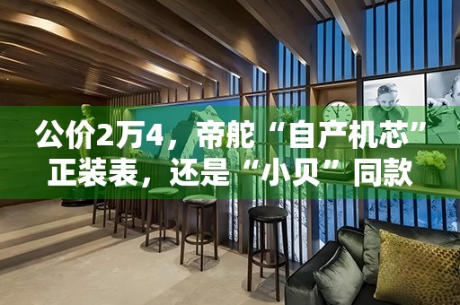 公價(jià)2萬(wàn)4，帝舵“自產(chǎn)機(jī)芯”正裝表，還是“小貝”同款