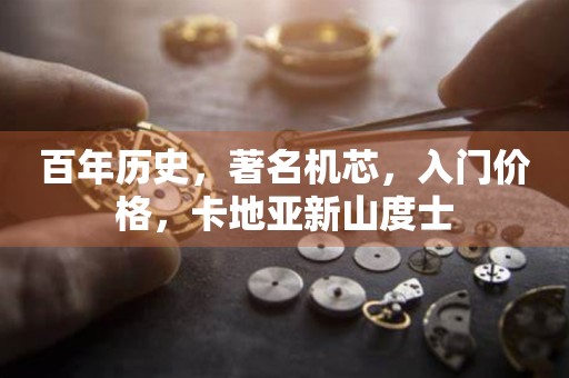 百年歷史，著名機(jī)芯，入門價(jià)格，卡地亞新山度士