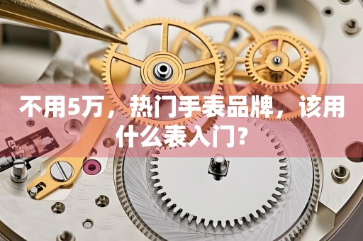 不用5萬，熱門手表品牌，該用什么表入門？