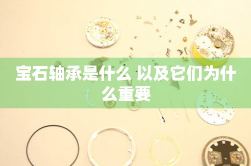 寶石軸承是什么 以及它們?yōu)槭裁粗匾?></a>
    <h2><a href=