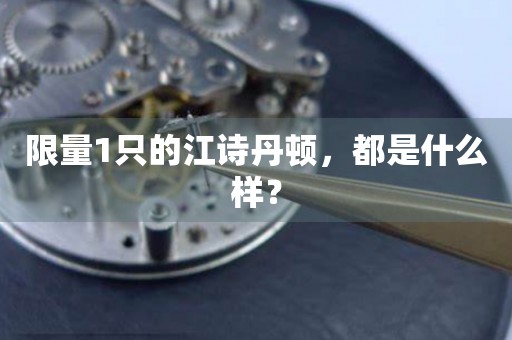 限量1只的江詩(shī)丹頓，都是什么樣？