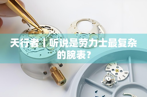 天行者丨聽說是勞力士最復雜的腕表？