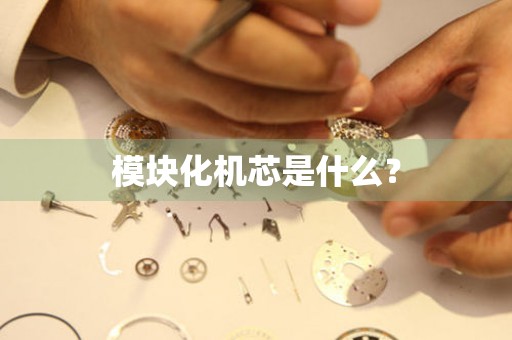 模塊化機(jī)芯是什么？