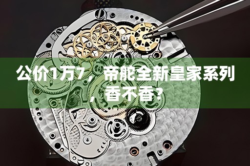公價1萬7，帝舵全新皇家系列，香不香？