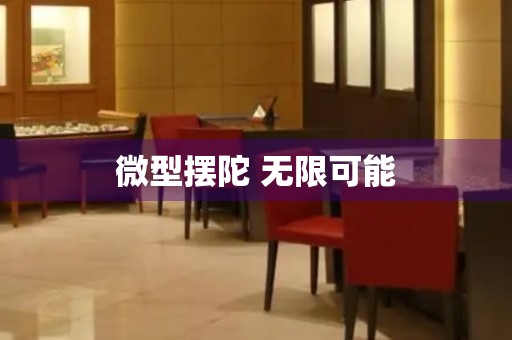 微型擺陀 無(wú)限可能