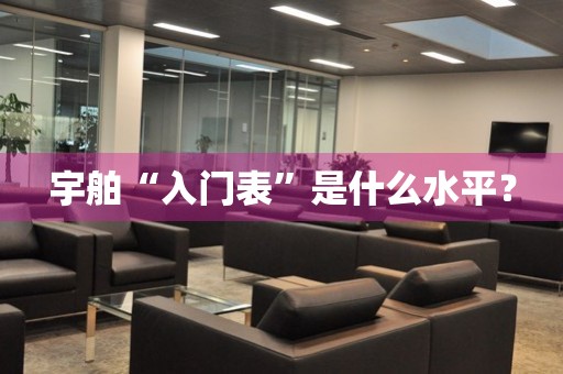宇舶“入門表”是什么水平？