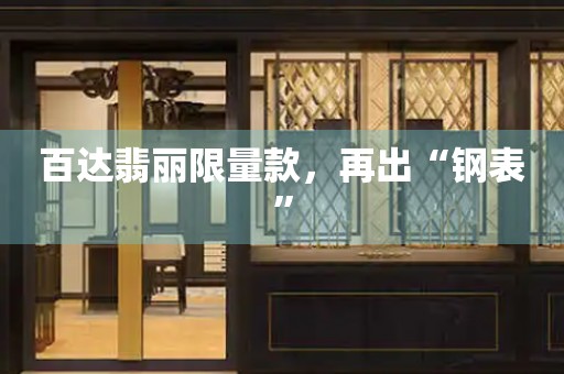 百達(dá)翡麗限量款，再出“鋼表”