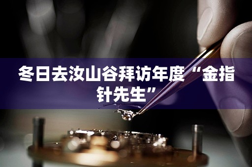 冬日去汝山谷拜訪年度“金指針先生”