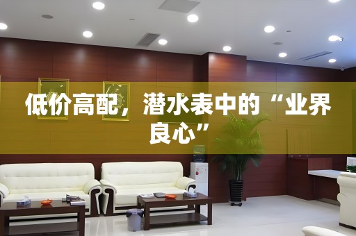 低價高配，潛水表中的“業(yè)界良心”