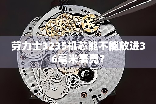 勞力士3235機芯能不能放進36毫米表殼？