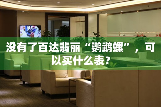 沒有了百達(dá)翡麗“鸚鵡螺”，可以買什么表？