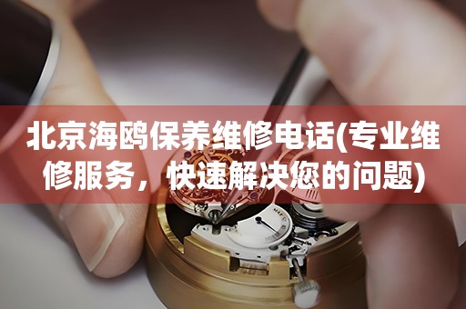 北京海鷗保養(yǎng)維修電話(專業(yè)維修服務(wù)，快速解決您的問題)