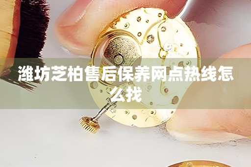 濰坊芝柏售后保養(yǎng)網(wǎng)點(diǎn)熱線怎么找