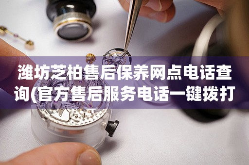 濰坊芝柏售后保養(yǎng)網(wǎng)點電話查詢(官方售后服務(wù)電話一鍵撥打)