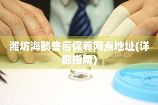 濰坊海鷗售后保養(yǎng)網(wǎng)點(diǎn)地址(詳細(xì)指南)