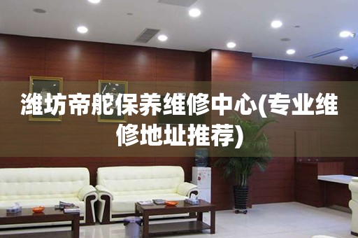 濰坊帝舵保養(yǎng)維修中心(專(zhuān)業(yè)維修地址推薦)