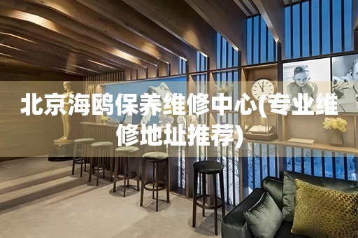 北京海鷗保養(yǎng)維修中心(專業(yè)維修地址推薦)
