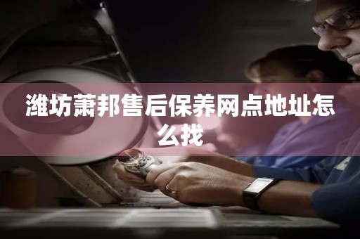 濰坊蕭邦售后保養(yǎng)網(wǎng)點(diǎn)地址怎么找