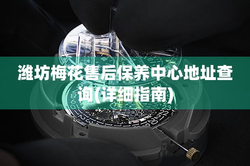 濰坊梅花售后保養(yǎng)中心地址查詢(詳細(xì)指南)