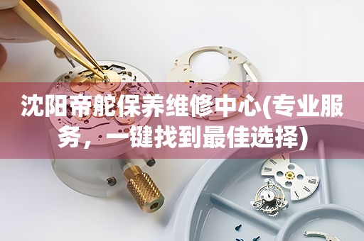 沈陽帝舵保養(yǎng)維修中心(專業(yè)服務(wù)，一鍵找到最佳選擇)