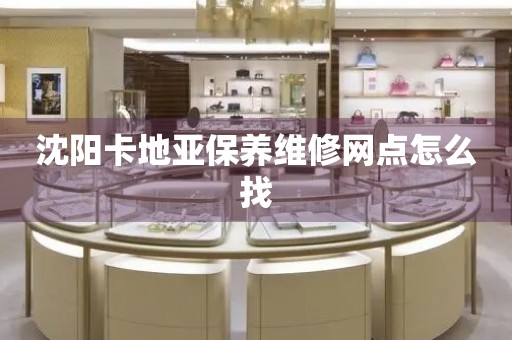 沈陽卡地亞保養(yǎng)維修網(wǎng)點怎么找