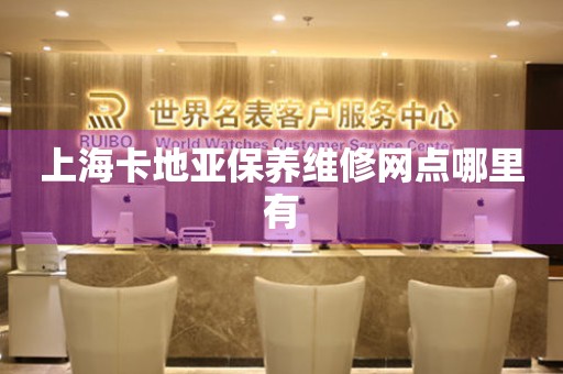 上?？ǖ貋啽ｐB(yǎng)維修網(wǎng)點哪里有