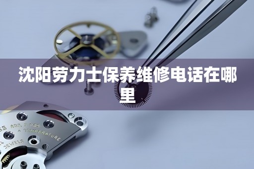 沈陽勞力士保養(yǎng)維修電話在哪里