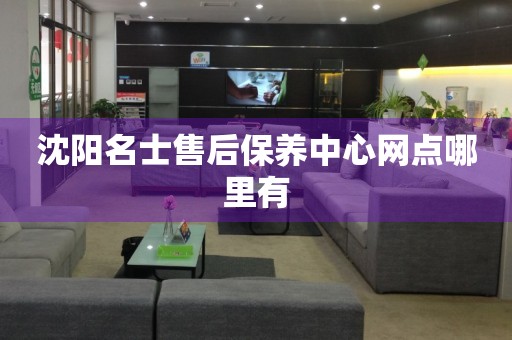沈陽名士售后保養(yǎng)中心網(wǎng)點(diǎn)哪里有