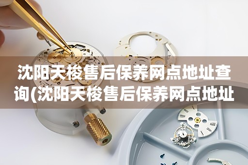 沈陽天梭售后保養(yǎng)網(wǎng)點(diǎn)地址查詢(沈陽天梭售后保養(yǎng)網(wǎng)點(diǎn)地址一覽)