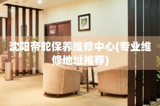 沈陽(yáng)帝舵保養(yǎng)維修中心(專業(yè)維修地址推薦)
