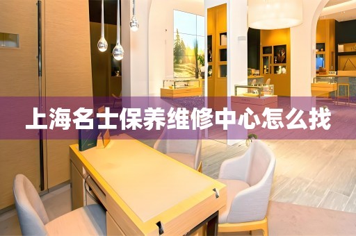 上海名士保養(yǎng)維修中心怎么找