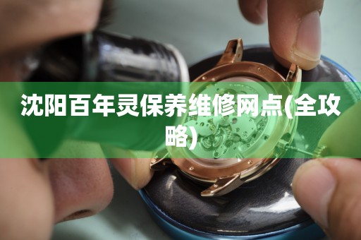 沈陽(yáng)百年靈保養(yǎng)維修網(wǎng)點(diǎn)(全攻略)