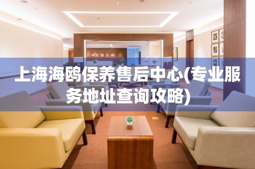 上海海鷗保養(yǎng)售后中心(專業(yè)服務(wù)地址查詢攻略)