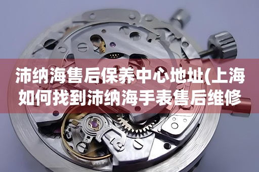 沛納海售后保養(yǎng)中心地址(上海如何找到沛納海手表售后維修保養(yǎng)中心)