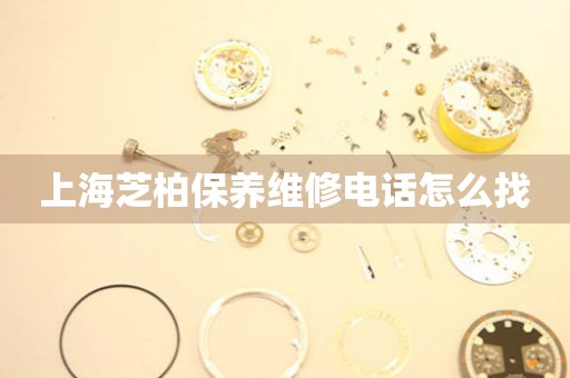 上海芝柏保養(yǎng)維修電話怎么找