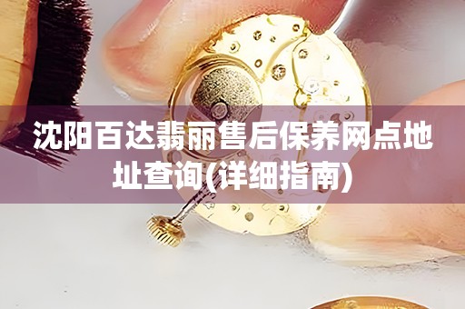 沈陽(yáng)百達(dá)翡麗售后保養(yǎng)網(wǎng)點(diǎn)地址查詢(詳細(xì)指南)