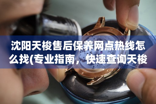 沈陽天梭售后保養(yǎng)網(wǎng)點(diǎn)熱線怎么找(專業(yè)指南，快速查詢天梭售后保養(yǎng)網(wǎng)點(diǎn))