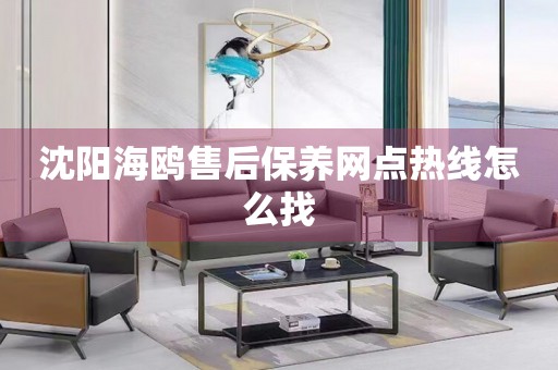 沈陽(yáng)海鷗售后保養(yǎng)網(wǎng)點(diǎn)熱線怎么找