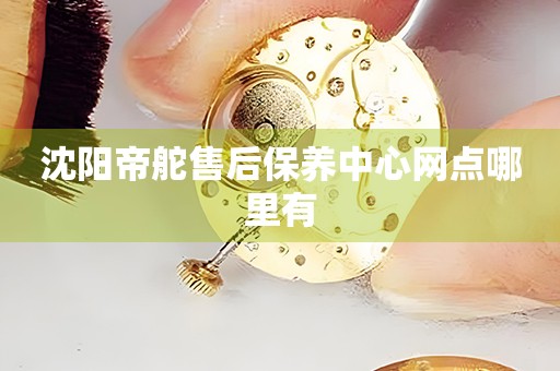 沈陽帝舵售后保養(yǎng)中心網(wǎng)點哪里有