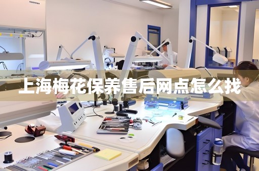 上海梅花保養(yǎng)售后網(wǎng)點怎么找