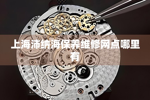 上海沛納海保養(yǎng)維修網(wǎng)點哪里有
